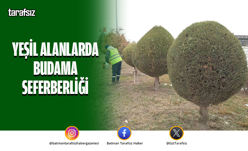 Yeşil Alanlarda Budama Seferberliği