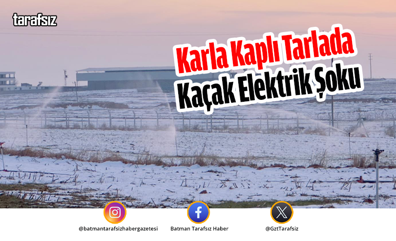Karla Kaplı Tarlada Kaçak Elektrik Şoku