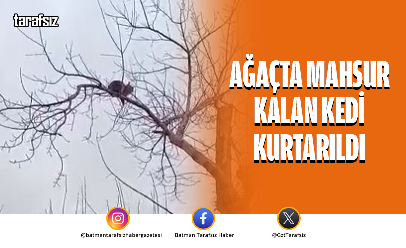 AĞAÇTA MAHSUR KALAN KEDİ KURTARILDI
