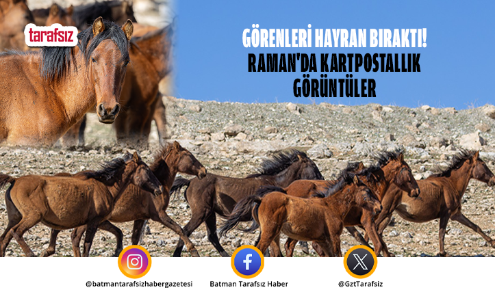 Görenleri Hayran Bıraktı! Raman’da Kartpostallık Görüntüler