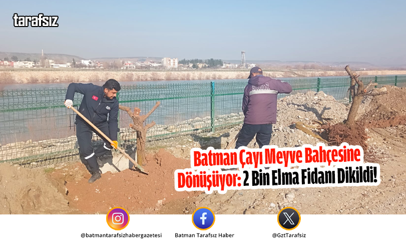 Batman Çayı Meyve Bahçesine Dönüşüyor: 2 Bin Elma Fidanı Dikildi!