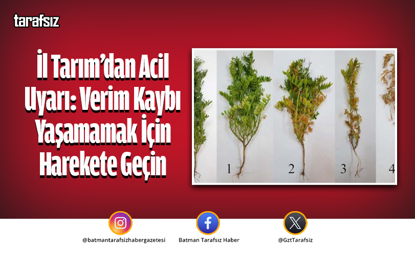 İl Tarım’dan Acil Uyarı: Verim Kaybı Yaşamamak İçin Harekete Geçin