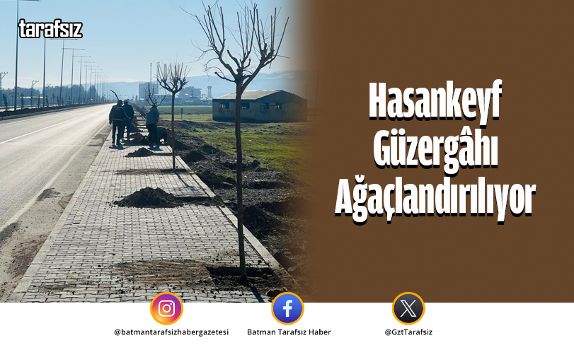 Hasankeyf Güzergâhı Ağaçlandırılıyor