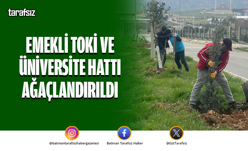Emekli TOKİ ve Üniversite Hattı Ağaçlandırıldı