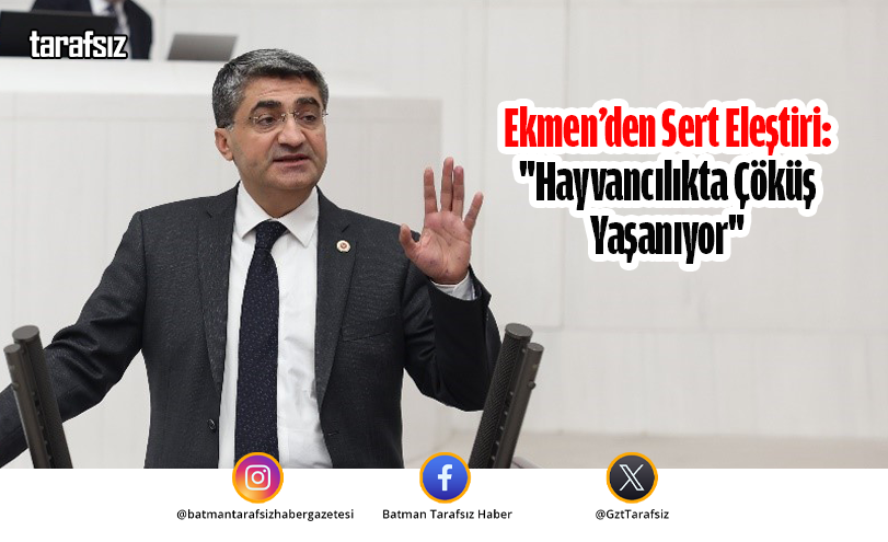 Ekmen’den Sert Eleştiri: “Hayvancılıkta Çöküş Yaşanıyor”