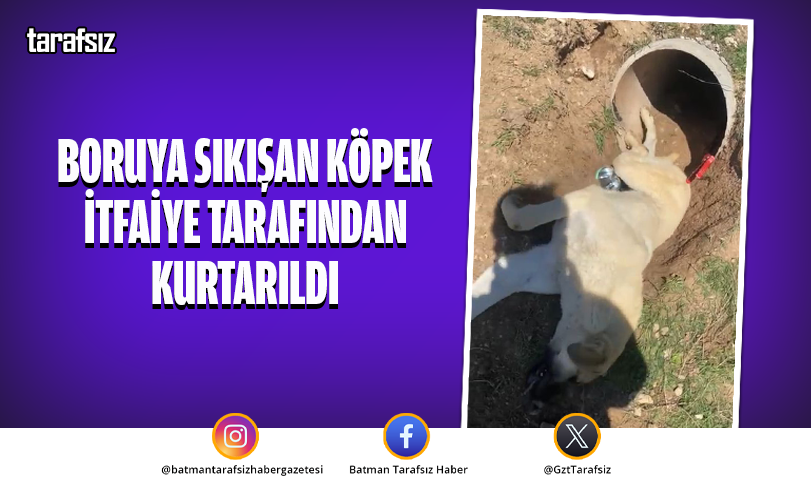 Boruya Sıkışan Köpek İtfaiye Tarafından Kurtarıldı