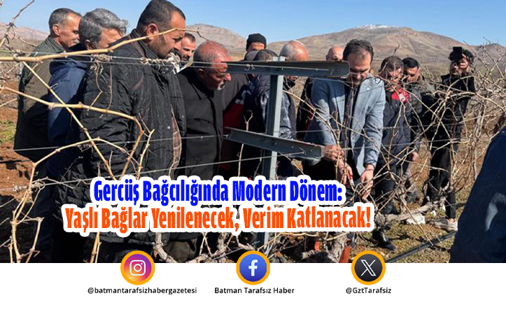 Gercüş Bağcılığında Modern Dönem