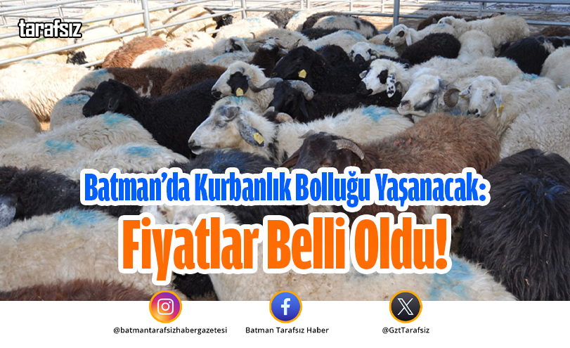 Batman’da Kurbanlık Bolluğu Yaşanacak: Fiyatlar Belli Oldu!