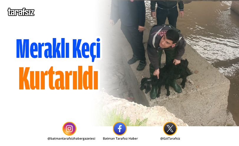 Meraklı Keçi Kurtarıldı