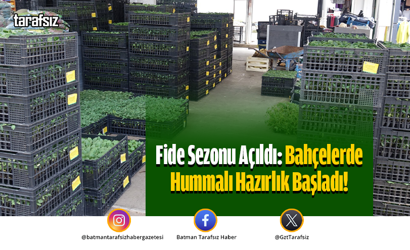 Fide Sezonu Açıldı: Bahçelerde Hummalı Hazırlık Başladı!