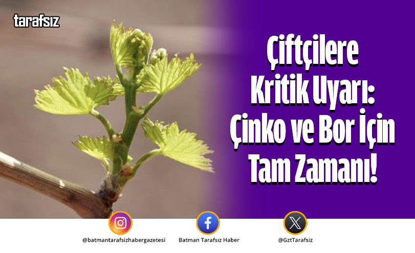 Çiftçilere Kritik Uyarı: Çinko ve Bor İçin Tam Zamanı!