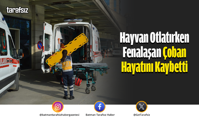 Hayvan Otlatırken Fenalaşan Çoban Hayatını Kaybetti