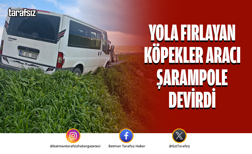 Yola Fırlayan Köpekler Aracı Şarampole Devirdi