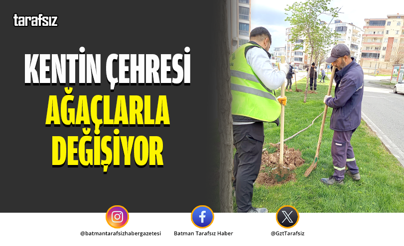 KENTİN ÇEHRESİ AĞAÇLARLA DEĞİŞİYOR