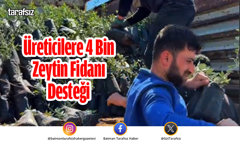 Üreticilere 4 Bin Zeytin Fidanı Desteği