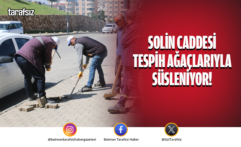 Solin Caddesi Tespih Ağaçlarıyla Süsleniyor!