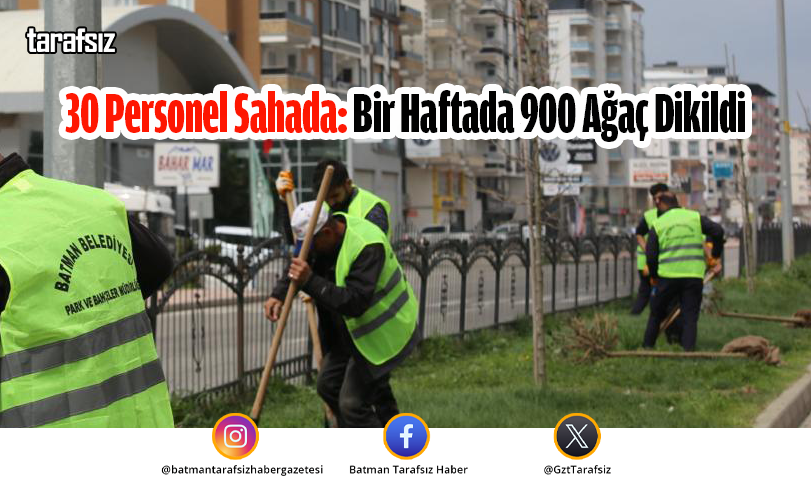 30 Personel Sahada: Bir Haftada 900 Ağaç Dikildi