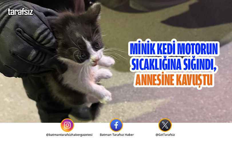 MİNİK KEDİ MOTORUN SICAKLIĞINA SIĞINDI, ANNESİNE KAVUŞTU