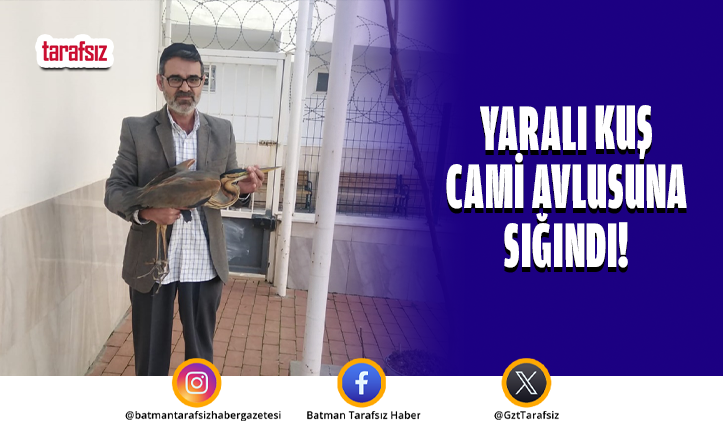 YARALI KUŞ CAMİ AVLUSUNA SIĞINDI!