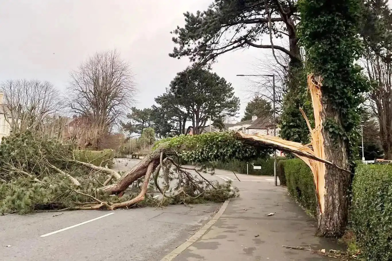 Meteoroloji’den Fırtına Uyarısı: Saatte 60 Kilometreyi Bulacak!