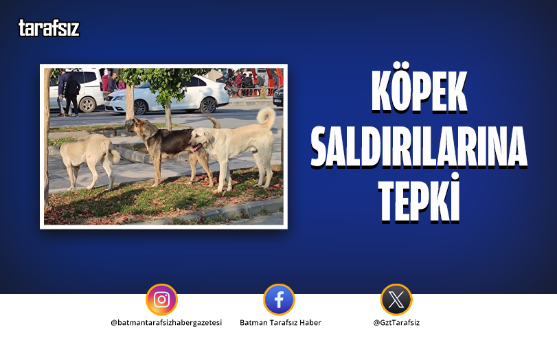 Köpek Saldırılarına Tepki