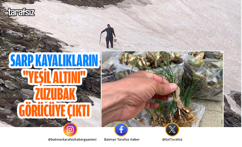 Sarp Kayalıkların “Yeşil Altını” Zuzubak Görücüye Çıktı