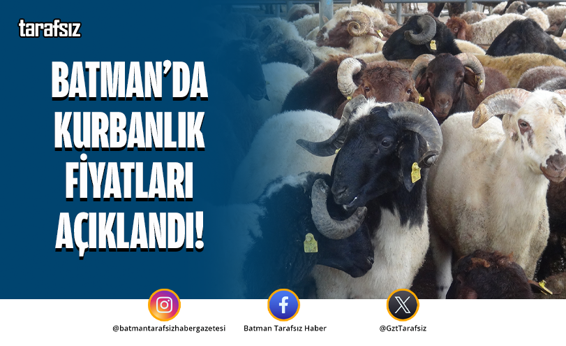 Batman’da Kurbanlık Fiyatları Açıklandı!