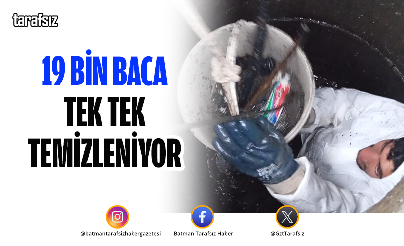 19 Bin Baca Tek Tek Temizleniyor