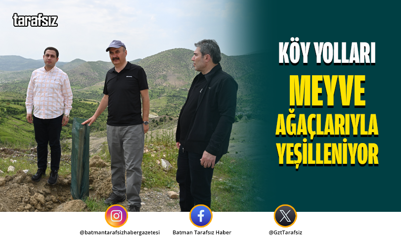 Köy Yolları Meyve Ağaçlarıyla Yeşilleniyor