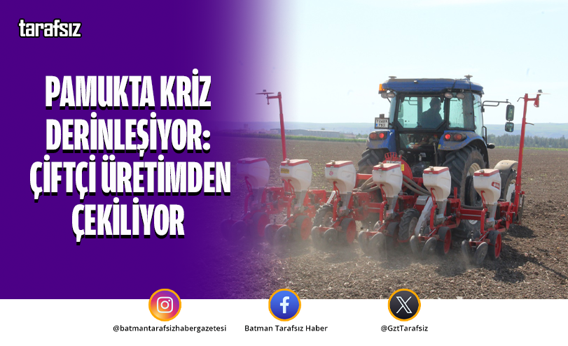 Pamukta Kriz Derinleşiyor: Çiftçi Üretimden Çekiliyor