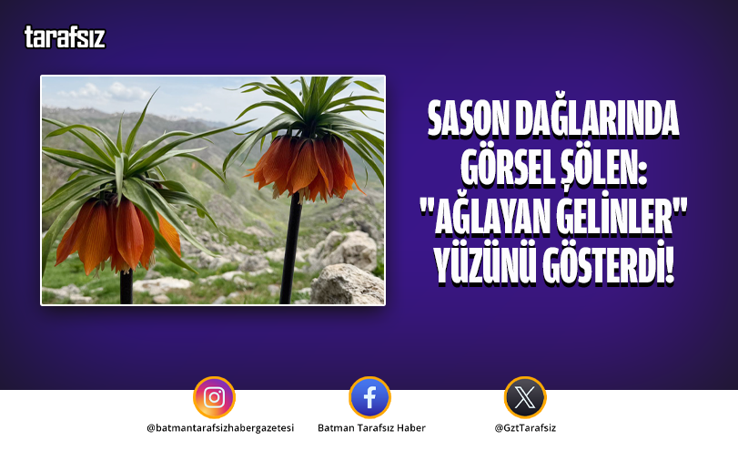 Sason Dağlarında Görsel Şölen: “Ağlayan Gelinler” Yüzünü Gösterdi!