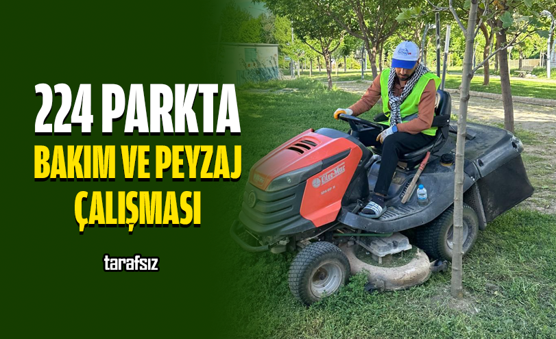 224 Parkta Bakım ve Peyzaj Çalışması