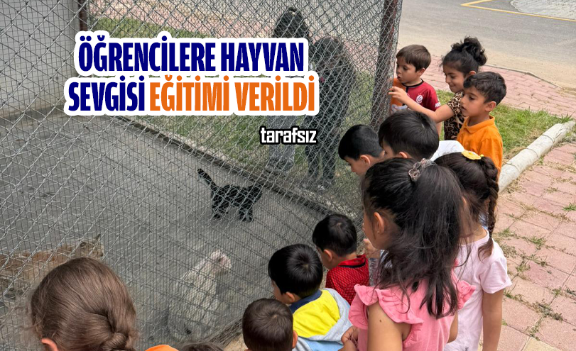 Öğrencilere Hayvan Sevgisi Eğitimi Verildi