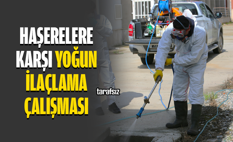 Haşerelere Karşı Yoğun İlaçlama Çalışması