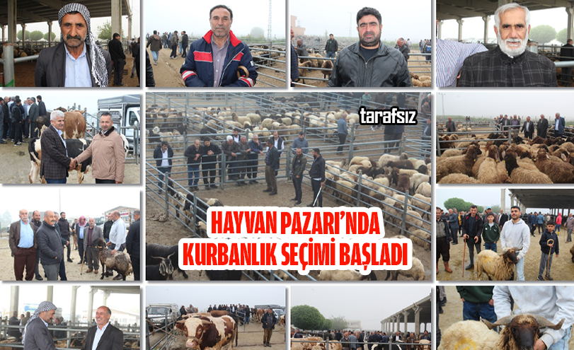 Hayvan Pazarı’nda Kurbanlık Seçimi Başladı