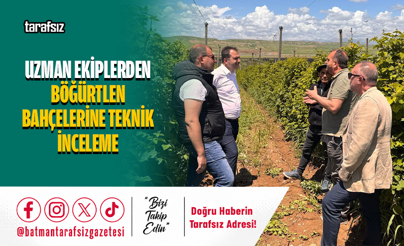 Uzman Ekiplerden Böğürtlen Bahçelerine Teknik İnceleme