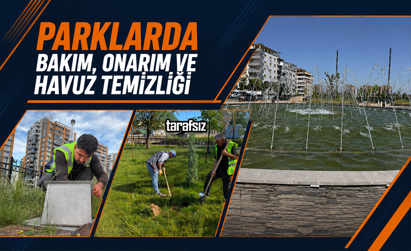 Parklarda Bakım, Onarım ve Havuz Temizliği