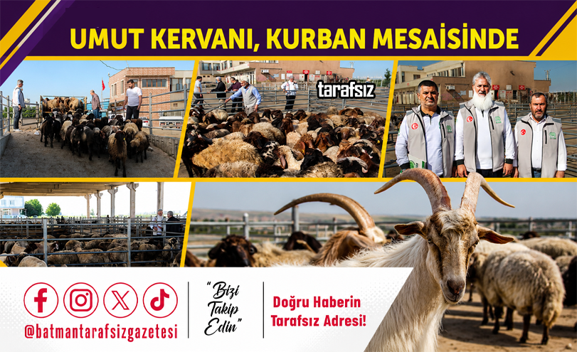 Umut Kervanı, Kurban Mesaisinde