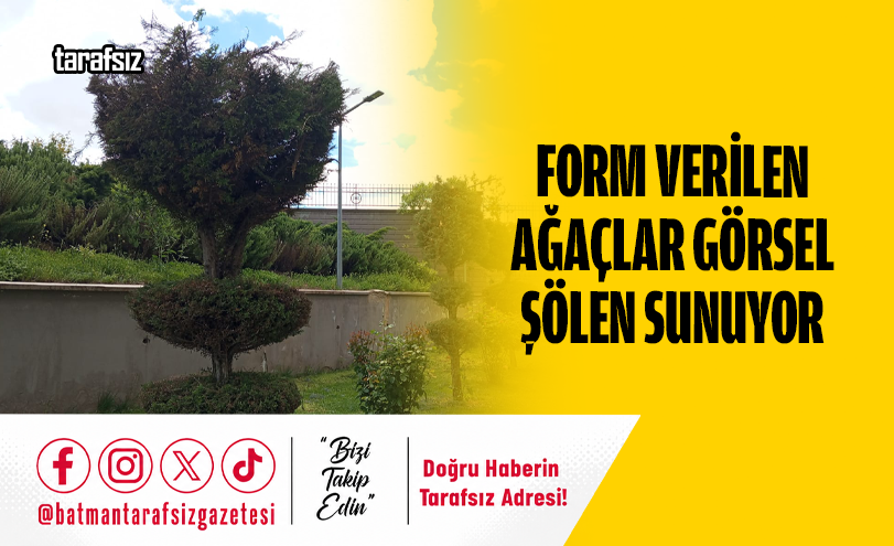 Form Verilen Ağaçlar Görsel Şölen Sunuyor