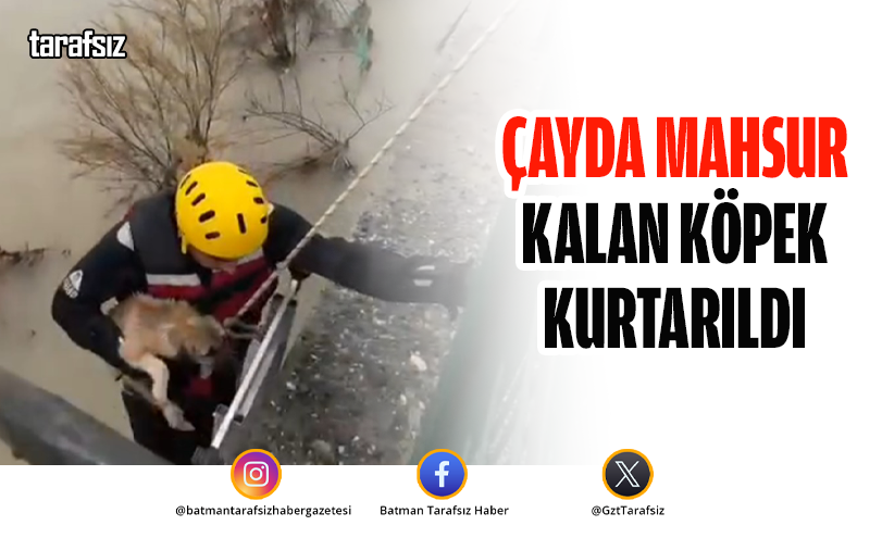 Çayda Mahsur Kalan Köpek Kurtarıldı