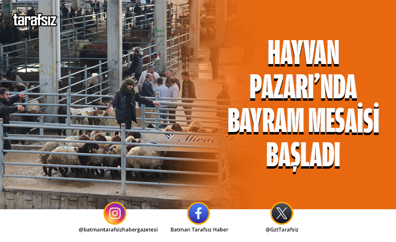 Hayvan Pazarı’nda Bayram Mesaisi Başladı