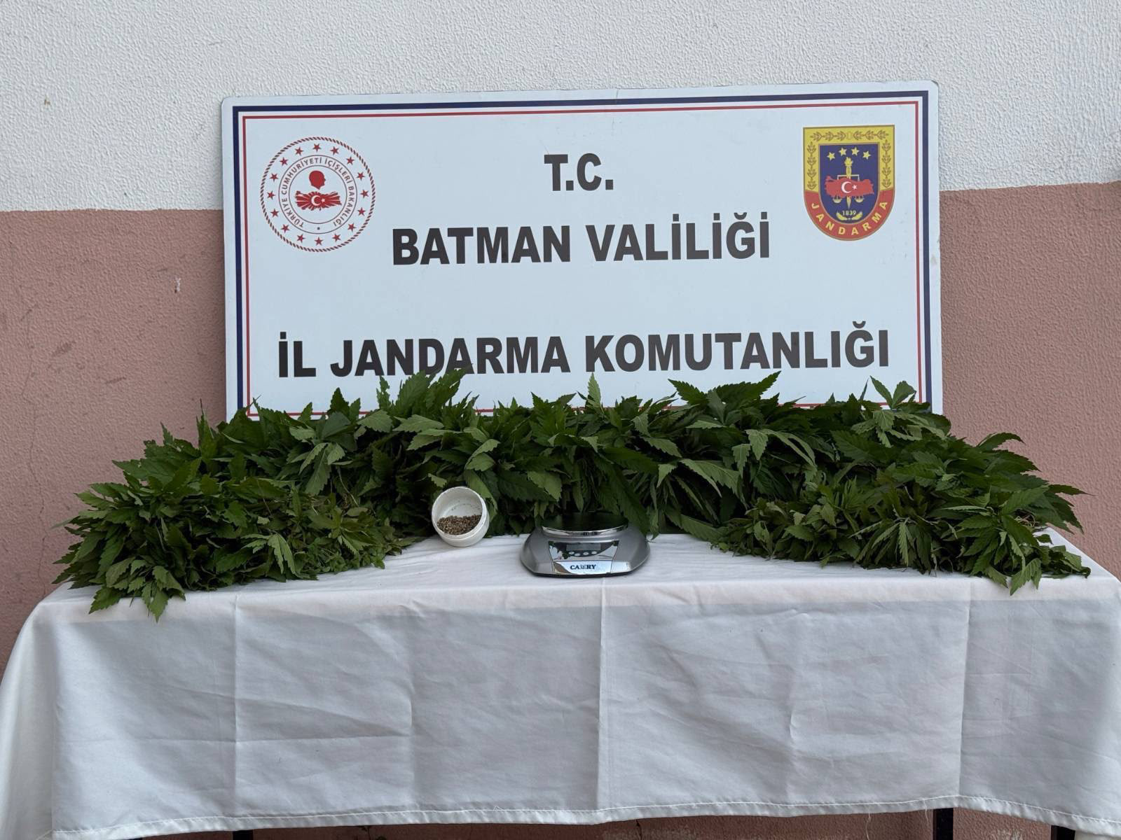3 Bin 776 Kök Kenevir Ele Geçirildi: 2 Tutuklama