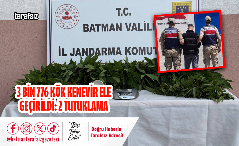 3 Bin 776 Kök Kenevir Ele Geçirildi: 2 Tutuklama