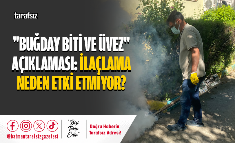 “Buğday Biti ve Üvez” Açıklaması: İlaçlama Neden Etki Etmiyor?