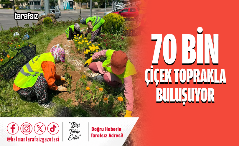 70 Bin Çiçek Toprakla Buluşuyor