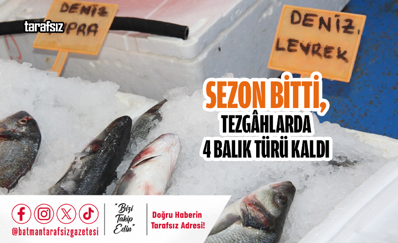 Sezon Bitti, Tezgâhlarda 4 Balık Türü Kaldı