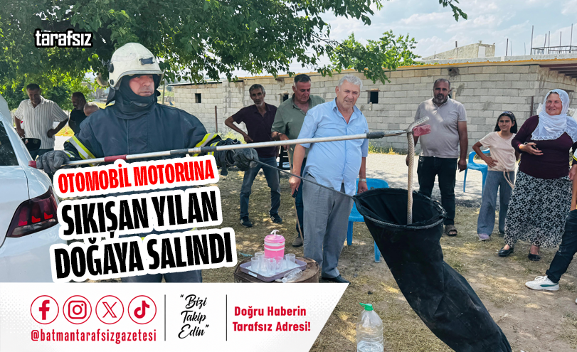 Otomobil Motoruna Sıkışan Yılan Doğaya Salındı