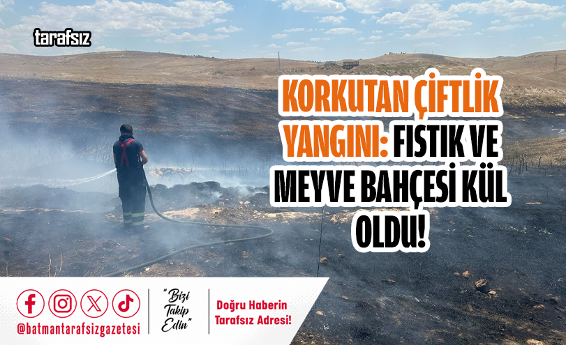 Korkutan Çiftlik Yangını: Fıstık ve Meyve Bahçesi Kül Oldu!