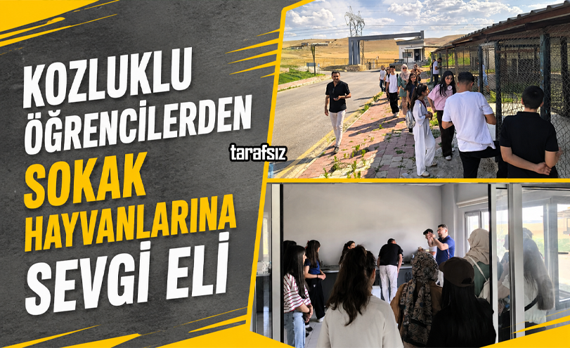 Kozluklu Öğrencilerden Sokak Hayvanlarına Sevgi Eli