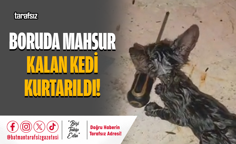 BORUDA MAHSUR KALAN KEDİ KURTARILDI!